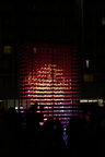 Signal festival